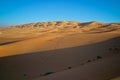 A foot trails across Liwa desert in Abu Dhabi.