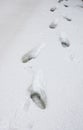 Foot traks in the snow, street covered with snow