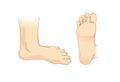 Foot vector in side view and bottom of foot