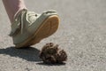 foot of woman on horse shit on the road