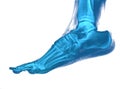 Foot xray Royalty Free Stock Photo