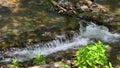 footage of a flowing river surrounded by rocks and lush green trees and plants at Amicalola Falls State Park in Dawsonville