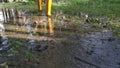 Unknown person wearing yellow boot walking or runnibg on muddy ground