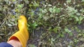 Unknown person wearing yellow boot walking or runnibg on muddy ground