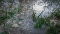 footage video of natural water flow among the grass