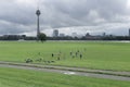 Football amateurs are playing on a day off on a green lawn Royalty Free Stock Photo