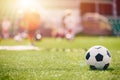 Football Ball on Natural Grass Field on a Sunny Day. Soccer Training For Children on a Summer Practice Camp Royalty Free Stock Photo