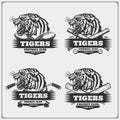 Football, baseball, cricket and hockey logos and labels. Sport club emblems with tiger. Royalty Free Stock Photo