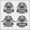 Football, baseball, cricket and hockey logos and labels. Sport club emblems with tiger. Print design for t-shirt. Royalty Free Stock Photo