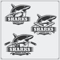 Football, baseball and hockey logos and labels. Sport club emblems with shark.