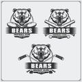 Football, baseball and hockey logos and labels. Sport club emblems with tiger. Royalty Free Stock Photo