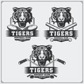 Football, baseball and hockey logos and labels. Sport club emblems with tiger. Royalty Free Stock Photo