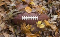 Football buried in fall leaves