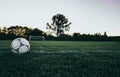 Football court pitch grass pole lines closeup