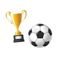 Football cup award soccer sport flat icons Royalty Free Stock Photo