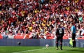 Football fans at stadium Royalty Free Stock Photo