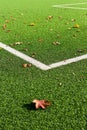 Football field detail, grass and white corner lines Royalty Free Stock Photo