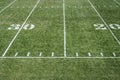 Football field grass