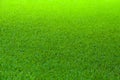 Football field green grass pattern texture background Royalty Free Stock Photo