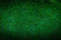 Football field green grass pattern texture background Royalty Free Stock Photo