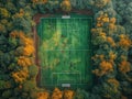 football field top view Royalty Free Stock Photo