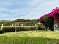 Football gate on the lawn with many balls in net Royalty Free Stock Photo