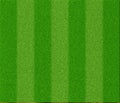 Football grass texture