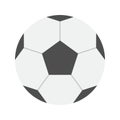 Football icon vector image.