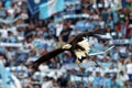 FOOTBALL: ITALIAN SERIE A 2022-2023 MATCH SS LAZIO VS HELLAS VERONA, ROME