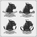 Football, lacrosse, baseball and hockey logos and labels. Sport club emblems with panther.