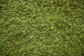Football lawn texture, golf course, trimmed lawn, green well-groomed grass Royalty Free Stock Photo