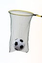 Football net