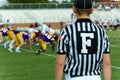 Football Official Royalty Free Stock Photo