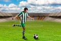 Football-player on the football ground Royalty Free Stock Photo