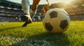 Football. Football players in a large stadium with full stands of fans during the championship. Football players in Royalty Free Stock Photo