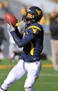 Football receiver catches a pass - Stedman Bailey Royalty Free Stock Photo