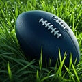 football resting on grass blades