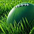 football resting on grass blades