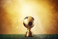 Football shampionship background Royalty Free Stock Photo