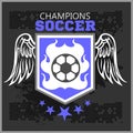 Football Soccer Badge, Patch and Emblem for sport