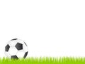 Football or soccer ball on the grass Royalty Free Stock Photo