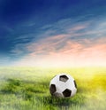 Football, soccer ball on grass Royalty Free Stock Photo