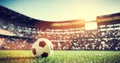 Football soccer ball on grass field on stadium Royalty Free Stock Photo