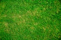 Football/soccer field fresh grass background, texture Royalty Free Stock Photo