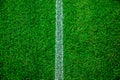 Football/soccer field fresh grass background, texture Royalty Free Stock Photo