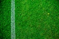 Football/soccer field fresh grass background, texture Royalty Free Stock Photo