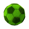 Football/Soccer grassy ball