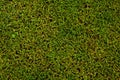 Football/soccer pitch Royalty Free Stock Photo