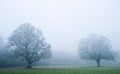 Football soccer pitch on foggy morning