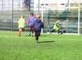 Football team - boys in red and blue, green uniform play soccer on the green field. Team game, training, active lifestyle, Royalty Free Stock Photo